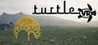 Turtle VR