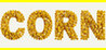 CORN Image