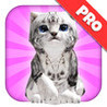 A Kitty Cat Play Time: My Littlest Kitten - Pro Edition Image