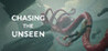 Chasing the Unseen Image