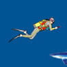 Come Dive With Me Image