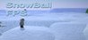SnowBall FPS Image