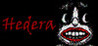 Hedera Image