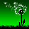 Leaf on the Wind Image