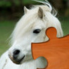 Pony Puzzles Image