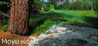 Moyu world Image