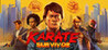 Karate Survivor Image