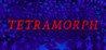 Tetramorph Image