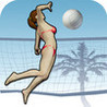 Volleyball To Go Image