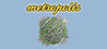 Metropolis Image