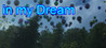 in my Dream Image