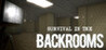 SURVIVAL IN THE BACKROOMS Image