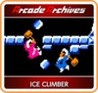 Arcade Archives: Vs. Ice Climber Image