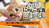Train Your Brain! Spot the Difference with Cat Photos