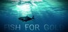Fish for gold Image