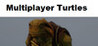 Multiplayer Turtles Image