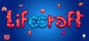 Lifecraft Image
