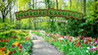 Nature Escapes Image