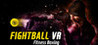 FIGHTBALL VR
