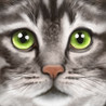 Ultimate Cat Simulator Image