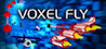 Voxel Fly Image