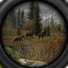 Wildlife Hunting - Lock and Load Image