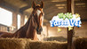 My Life: Farm Vet