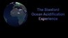 The Stanford Ocean Acidification Experience Image