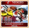 ACA NeoGeo: Samurai Shodown V Special Image