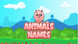 Animals Names Product Image