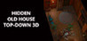 Hidden Old House Top-Down 3D Image