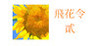 Recite Poems The Second Image