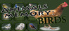 Animals Memory: Birds Image