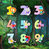 A About Forest Match Pics - A Educational Game for Children Image