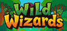 Wild Wizards