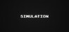 Simulation