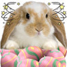 A Whack - A - Bunny HD Image