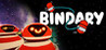 Bindary Image