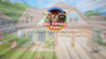My Lovely Pets Collector's Edition Image