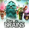 Tiny Brains