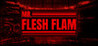 MR. FLESH FLAM