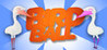 BIRD BALL