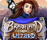 Braveland Wizard Image