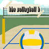 The Volleyball B Image