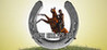 Horse Shelter 2021 Image