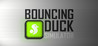 Bouncing Duck Simulator Image