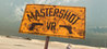 Master Shot VR Image