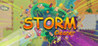 Storm Cleaner