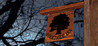 Evertree Inn Image