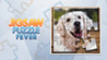 Jigsaw Puzzle Fever Image